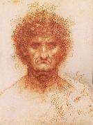 LEONARDO da Vinci Buste one frontal to seeing man and head of a Lowen oil painting on canvas